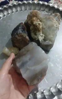 سنگ های شجر معدنی