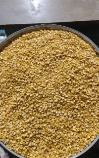 حبوبات
