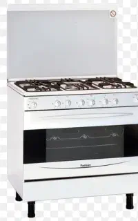 فرگاز پادیسان