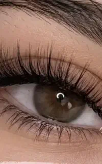 مدل مژه می‌پذیرم