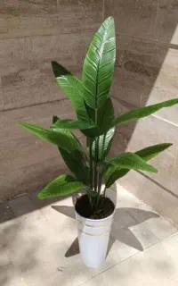 درختچه های پرنده بهشتی مصنوعی ۱۳۰ سانتی آک
