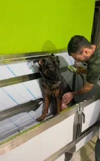 وان شستشوی مخصوص حیوانات