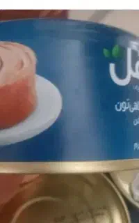 محفل ماهی