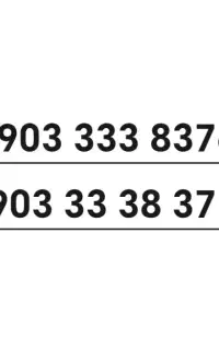 090.3333.8376