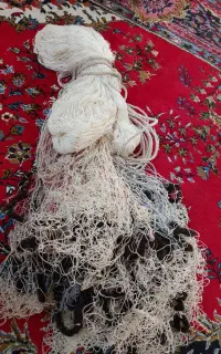 طور ماهی گیری