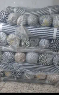 باسلام خرید فروش پارچه بقیمت بالای همه ،