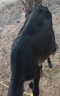 پارک