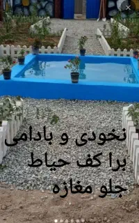 متن عکسو خوب نگاه