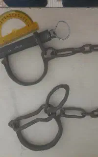 پابند قاطر و اسب و الاغ