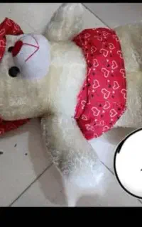 خرس بزرگ درحدنو