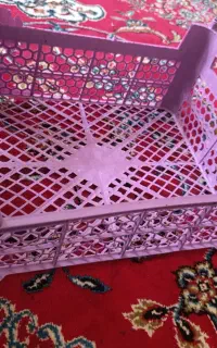 سبد انگور