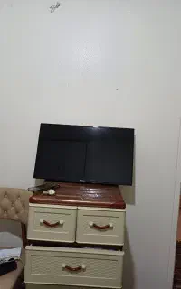 تلویزیون
