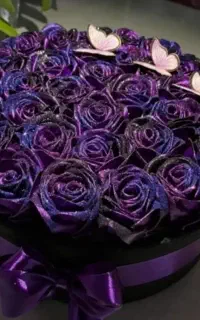 جعبه کادویی