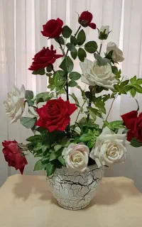 گل رز شیک و زیبا