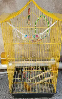 قفس بزرگ