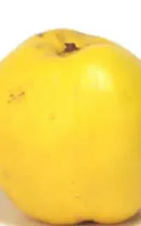 به زرد و ارگانیک