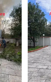 کاشت ،هرس، علف زنی ، سمپاشی تخصصی