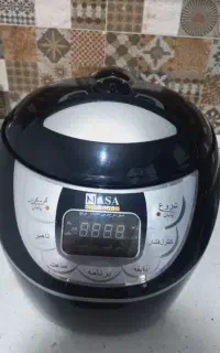 پلوپز بخارپز ناسا