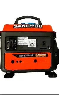 موتور برق 1 کیلو وات SANEYOO