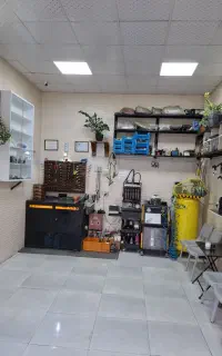 خدمات برق اتومبیل