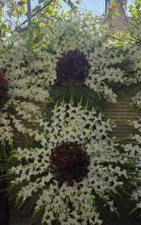 تاج گل مخصوص عذا و مراسمات