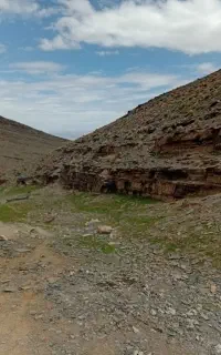 تنبک شیرانی