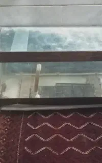 اکواریوم