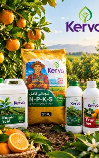 کود مرکبات و هیومیک اسید مشاوره باغ مرکبات