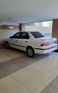 سمند خانگی بدون رنگ