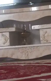 کاملا سالم