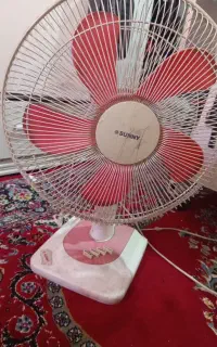 پنکه