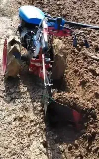 تریلر و علف زنی باغ