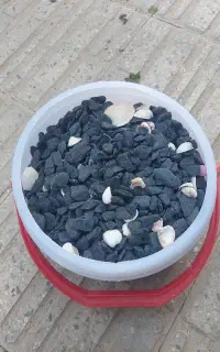 سنگ آکواریوم ۵ کیلویی با صدف ....
