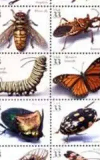 سمپاشی  منزل