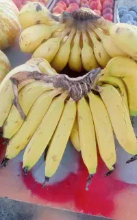 میوه درجه1 میدان دادگستری