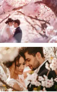 عکاسی فیلمبرداری مجالس تخفیف ویژه