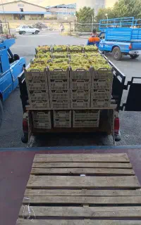 وانت تلفنی کرایه مناسب در خدمت همشهریان عزیز ‌‌