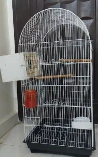 قفس بزرگ