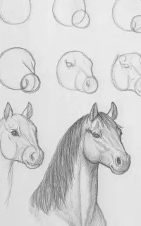 آموزشگاه هنری-معماری نظر اندیش