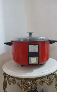 آرام پز و بخار پز هردو