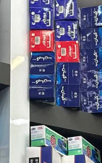 خودکار کیان و سلنت
