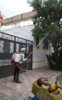 کلیه خدمات باغبانی وسمپاشی،تعویض خاک.تمام نقاط