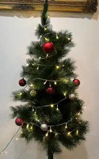 فروش درخت کریسمس/مرکزشهر نور