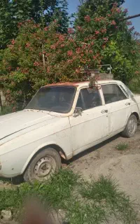 پیکان فروشی