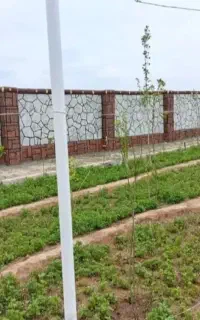 نمای سیمانی طرح سنگ وچوب باغ، باغچه، خانه