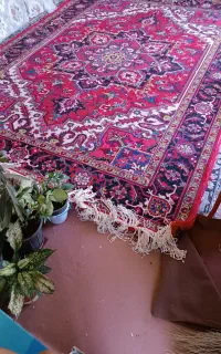 یک جفت فرش نه متری هریس