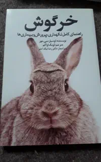 خرگوش و بچه خرگوش