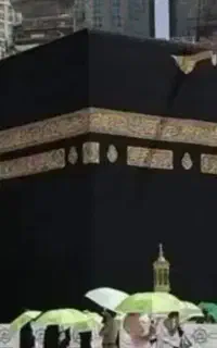 فروش فیش اماده حج تمتع