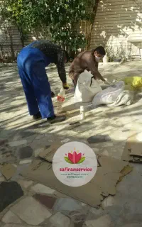 سمپاشی و دفع‌موریانه تخصصی سوسک سمپاشی