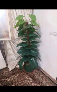 درختچه مصنوعی